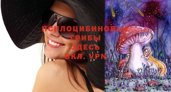 mix Абаза