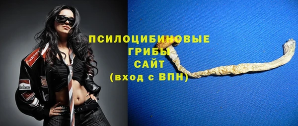 прущий лед Алзамай
