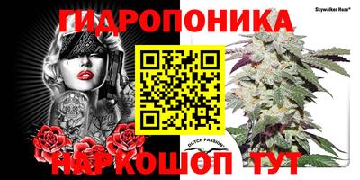 гашиш Краснознаменск