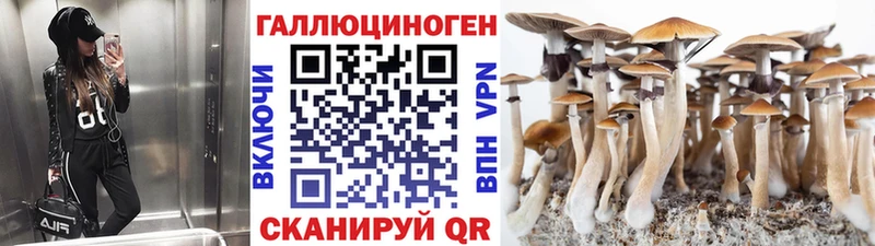 Псилоцибиновые грибы MAGIC MUSHROOMS  Железноводск 